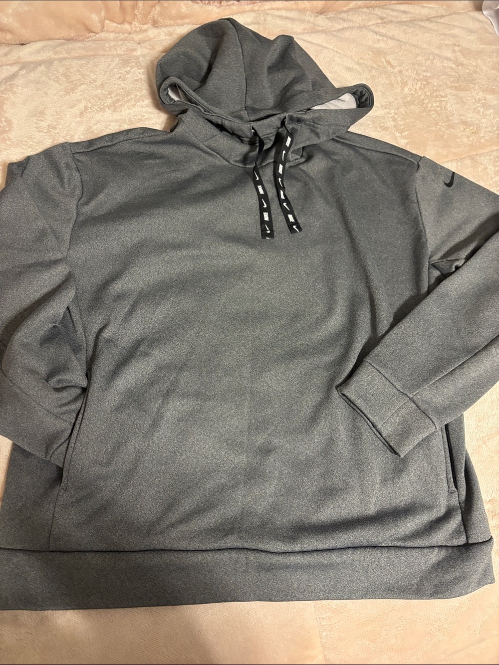 Nike fleeced lined dry fit hoodie